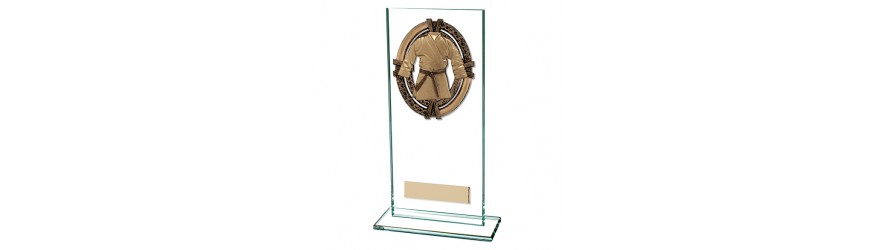 MAVERICK MARTIAL ARTS TROPHY - 5 SIZES - 12.5CM - 20CM